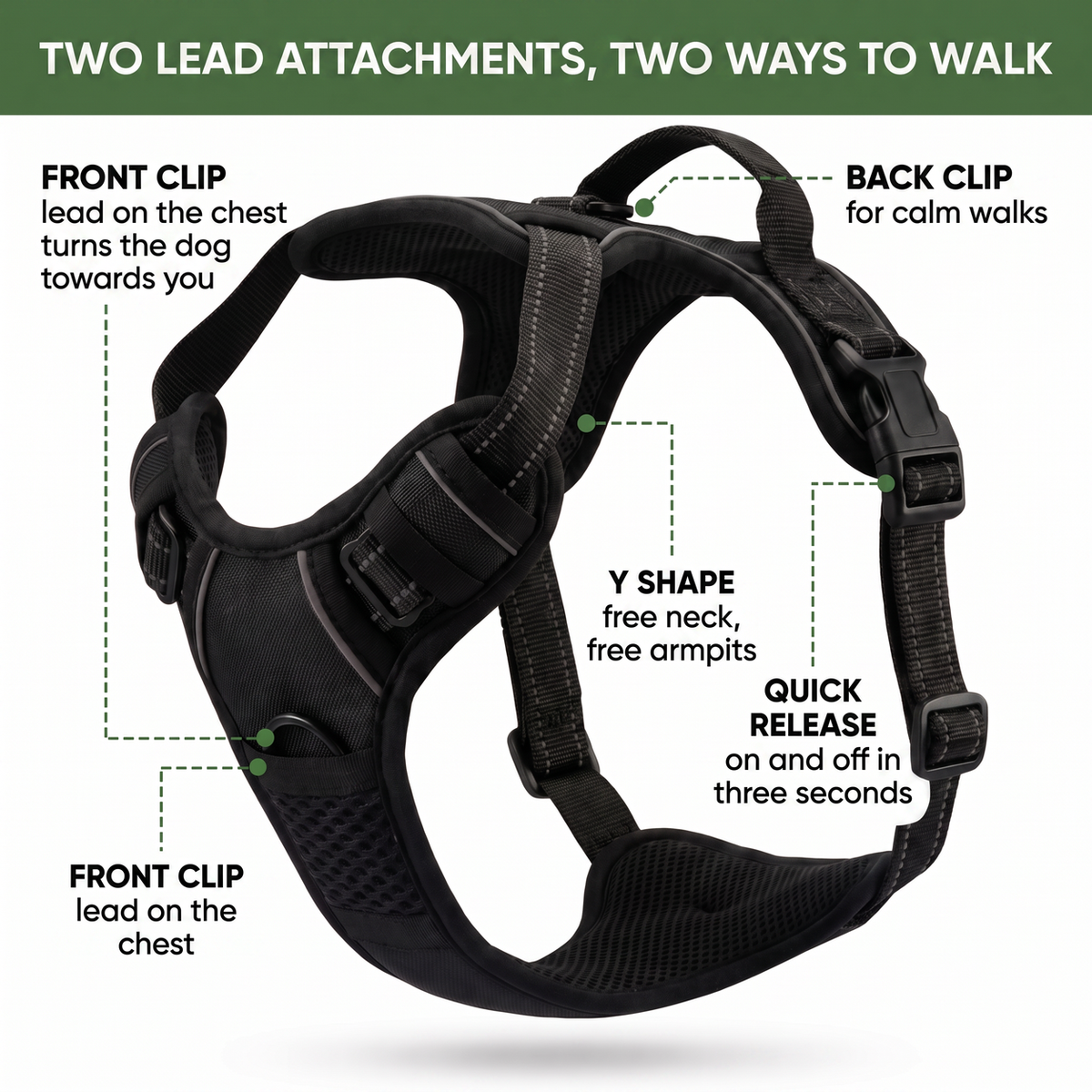 CalmStride two lead attachments