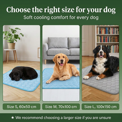 Your Dog Overheats Faster Than You Think