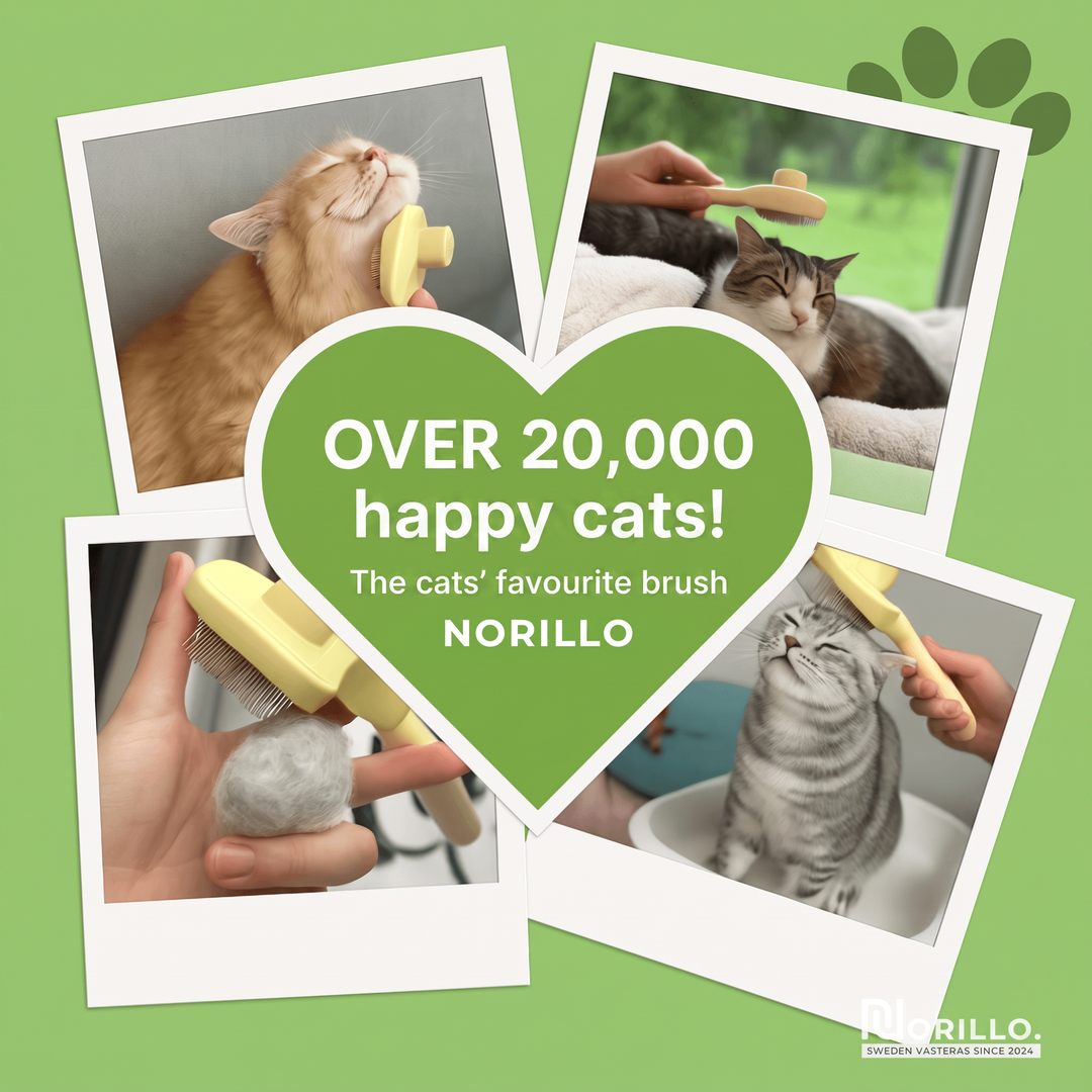 Over 20,000 happy cats