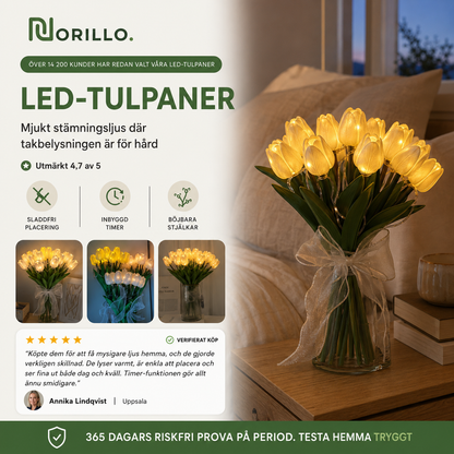 Norillo™ - LED Tulips That Light Up Your Home With Zero Upkeep