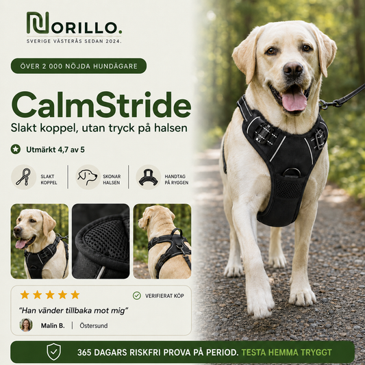 Norillo® - CalmStride - Front-Clip Dog Harness for Calmer Walks