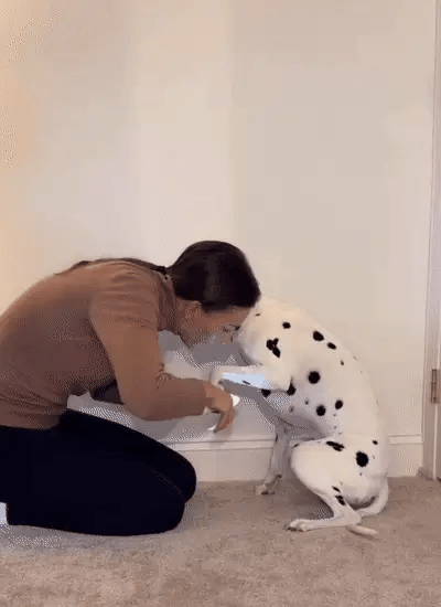 Norillo™ - 2-in-1 Pet Nail Clipper with LED Light That Prevents Splitting