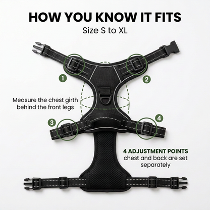 Norillo® - CalmStride - Front-Clip Dog Harness for Calmer Walks