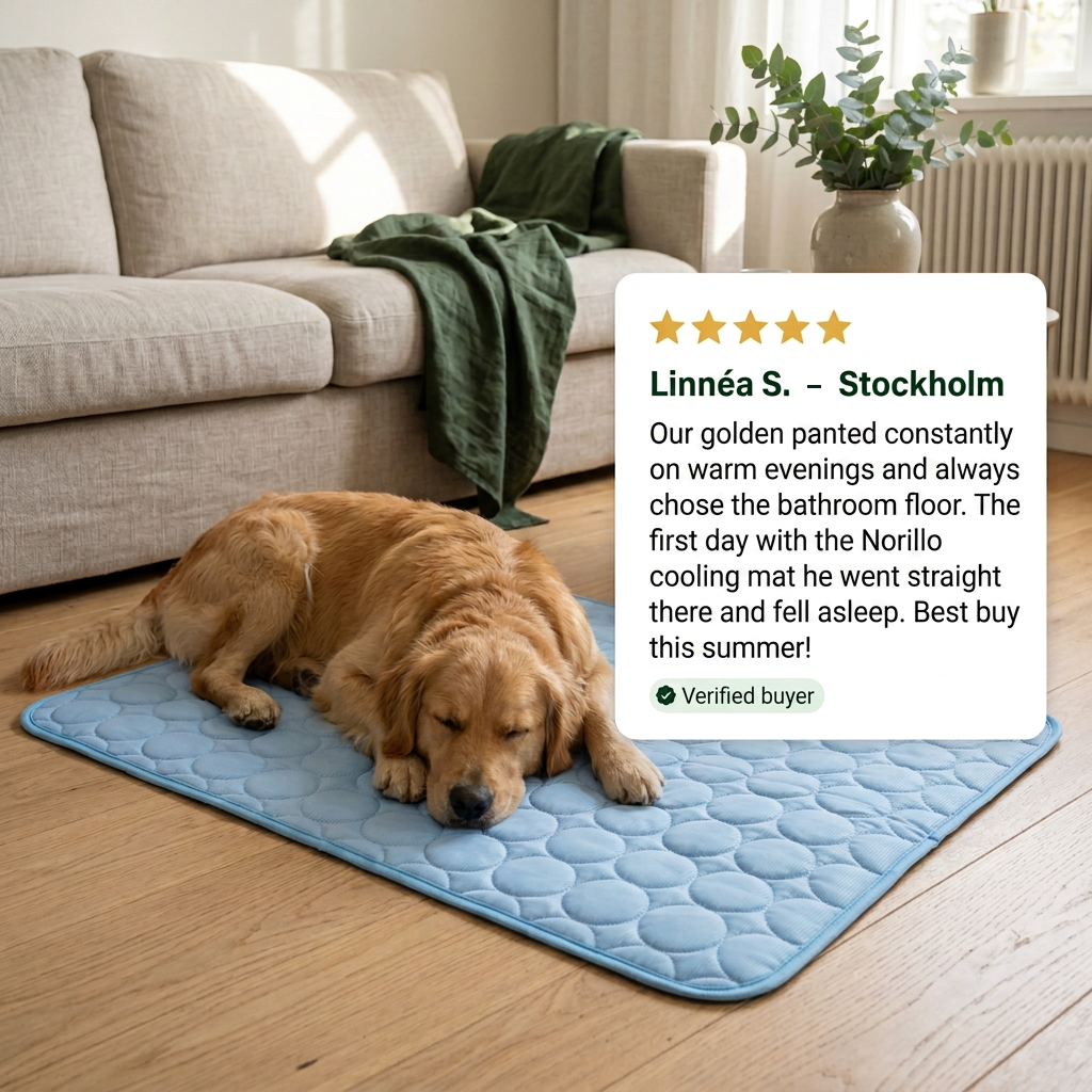 Your Dog Overheats Faster Than You Think