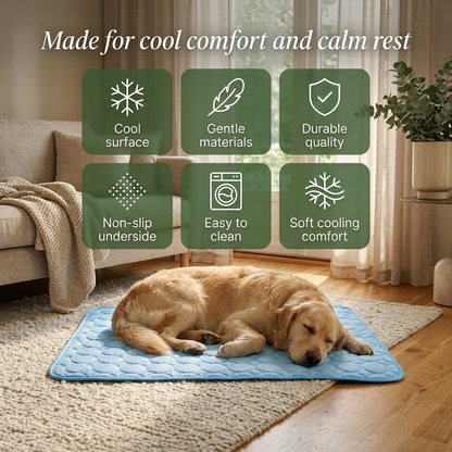 Your Dog Overheats Faster Than You Think