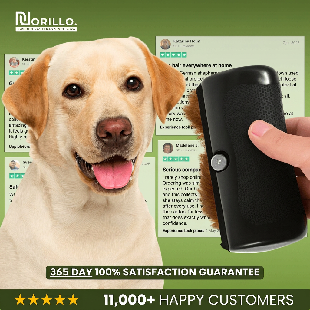Dog deshedding brush - English reviews, 365 day guarantee