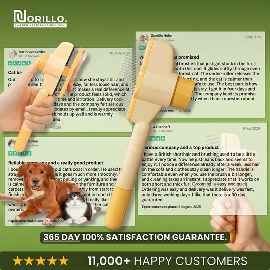 Norillo™ - Cat Brush That Stops Shedding and Keeps Your Home Clean