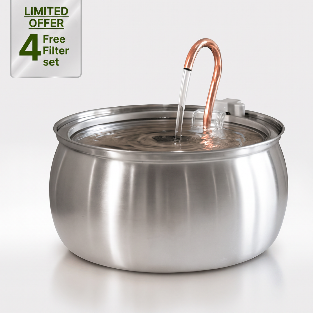 Limited offer 4 free filter set