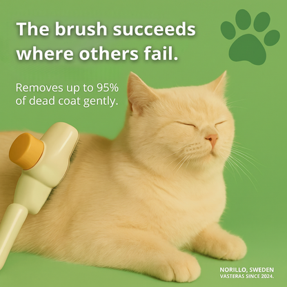 The brush succeeds where others fail