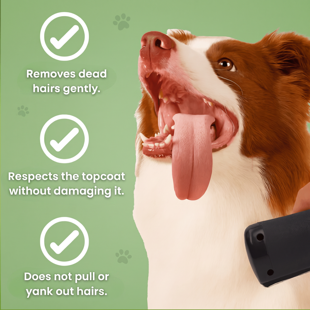 Gentle dog brush benefits