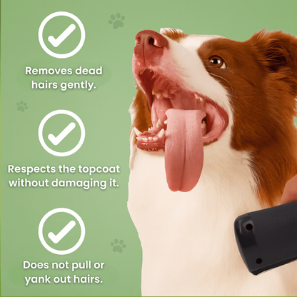 Gentle dog brush benefits