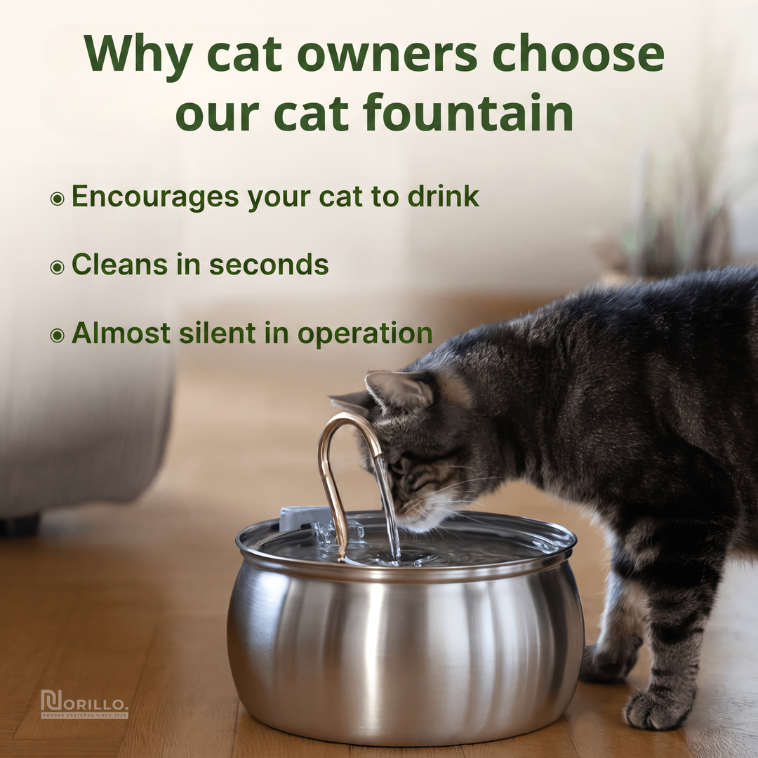 Why cat owners choose our cat fountain
