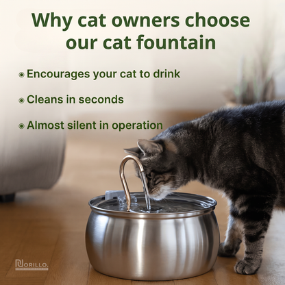 Why cat owners choose our cat fountain